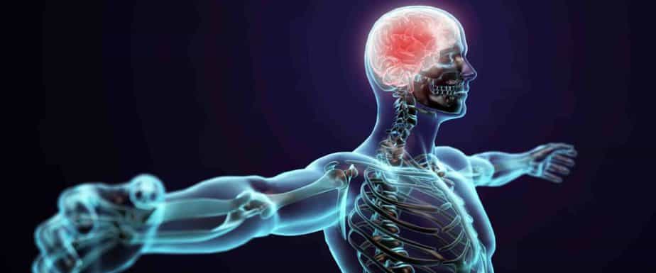 Centrinės nervų sistemos pažeidimų kineziterapijos ypatumai (2019.10.26-27)