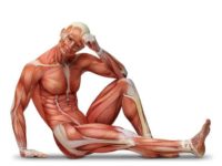 Raumenų ir raumenų grandžių testavimas bei korekcija: rankų, liemens ir kojų raumenų funkcinės grandys (2020.09.05-06)